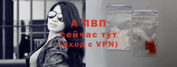 соль курить ск Каменногорск