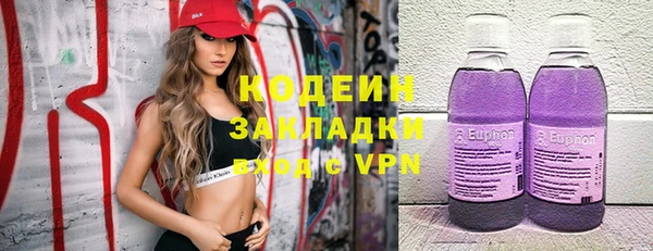 прущие грибы Касимов
