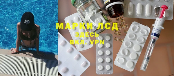 прущие грибы Касимов