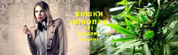 дурь Карпинск