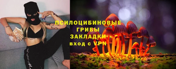 прущие грибы Касимов