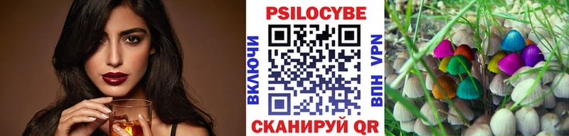 Купить где  Арсеньев  Псилоцибиновые грибы прущие грибы 